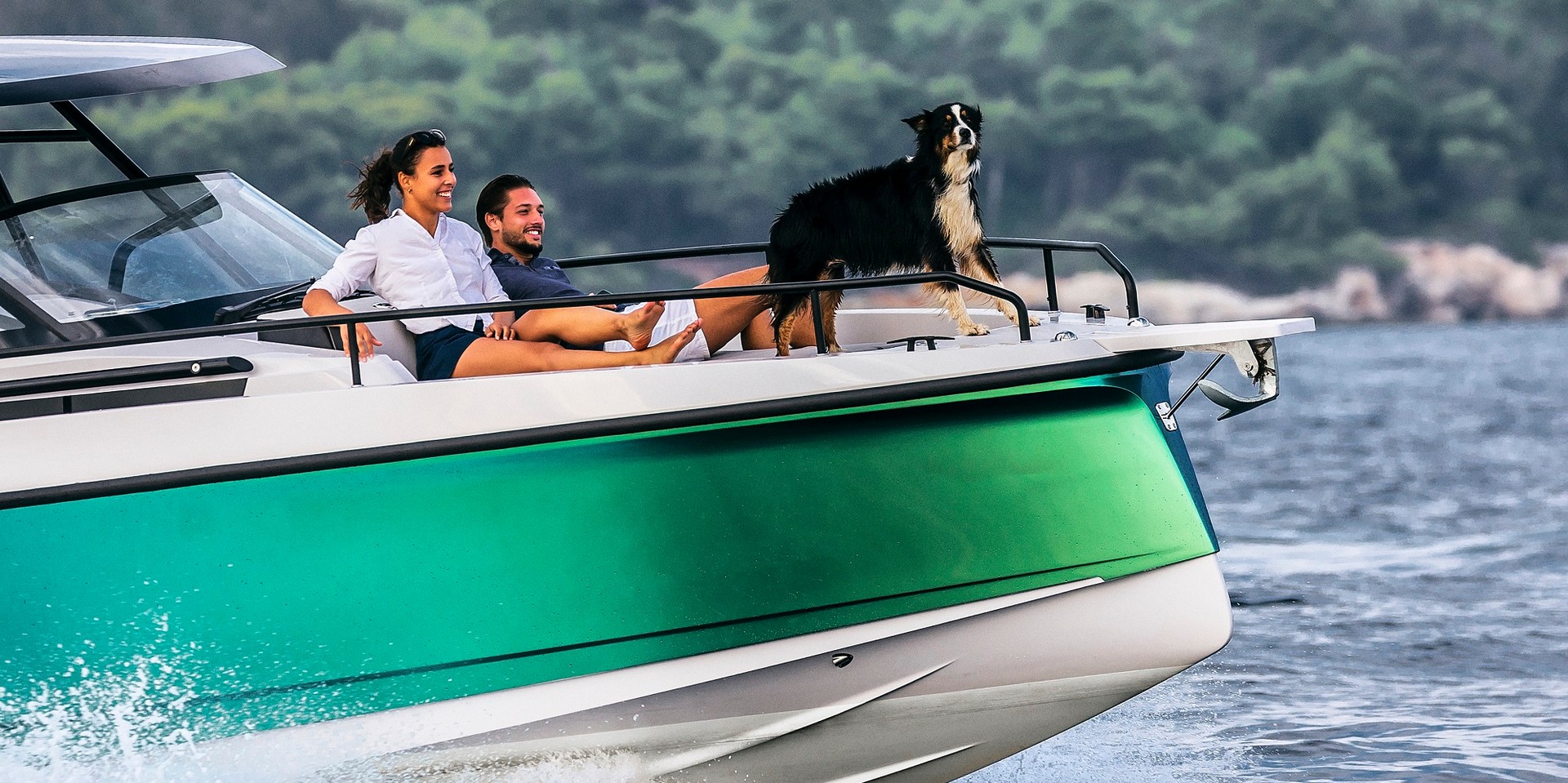 Animali domestici a bordo – le basi per la navigazione: Cosa fare e cosa non fare a bordo